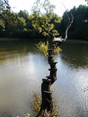 Klikněte pro zobrazení původního (velkého) obrázku